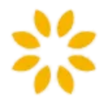 selectia.pages.dev favicon